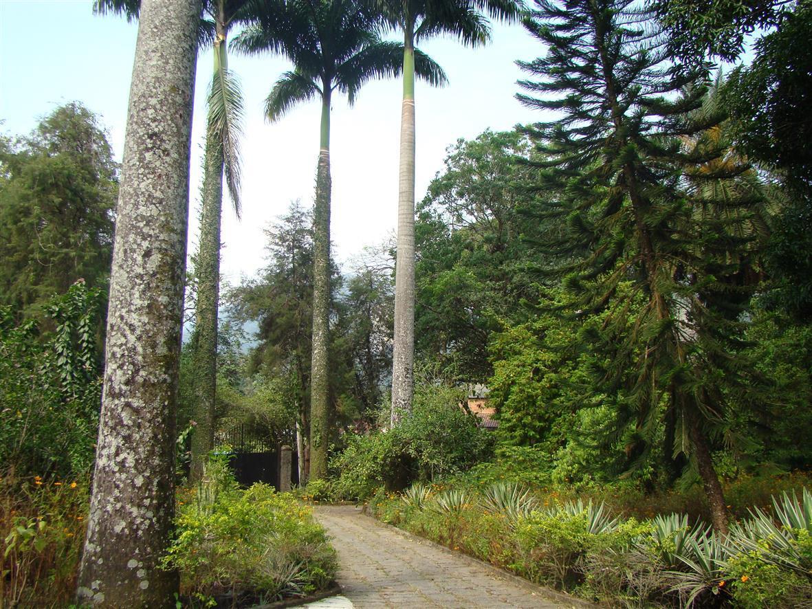 Bed and Breakfast Casa De Campo Dos Sonhos Cachoeiras de Macacu Exterior foto
